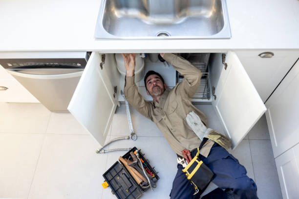 Best Commercial Plumbing Services  in Lino Lakes, MN