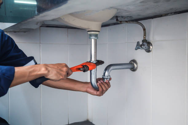  Lino Lakes, MN Plumbing Pros