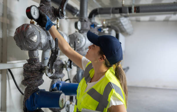 Best Emergency Plumber  in Lino Lakes, MN