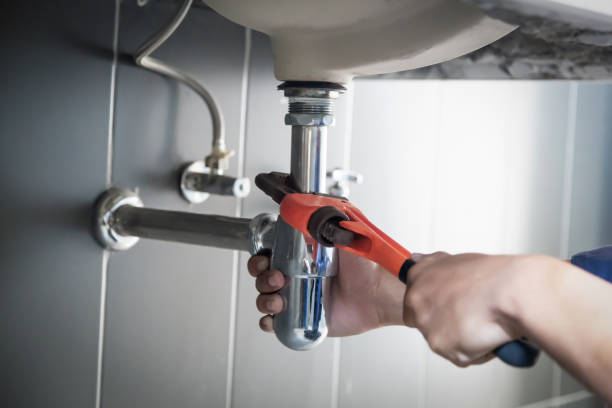 Best Local Plumber Services  in Lino Lakes, MN