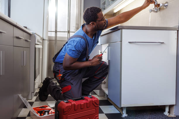 Best Affordable Plumbing Services  in Lino Lakes, MN